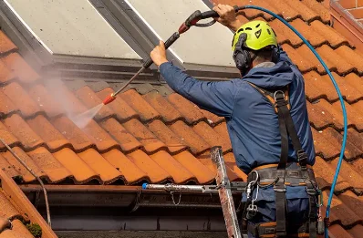 Démoussage et hydrofuge de toiture au Chalard